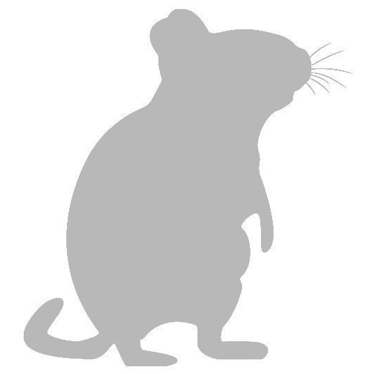 Smíšek