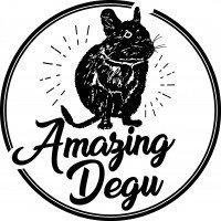 Logo Amazingdegu
